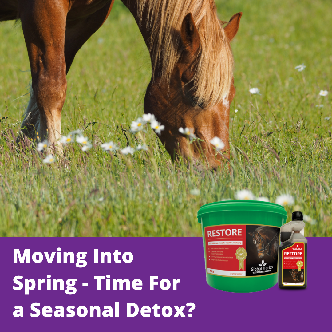 Moving Into Spring - Time For A Seasonal Detox?