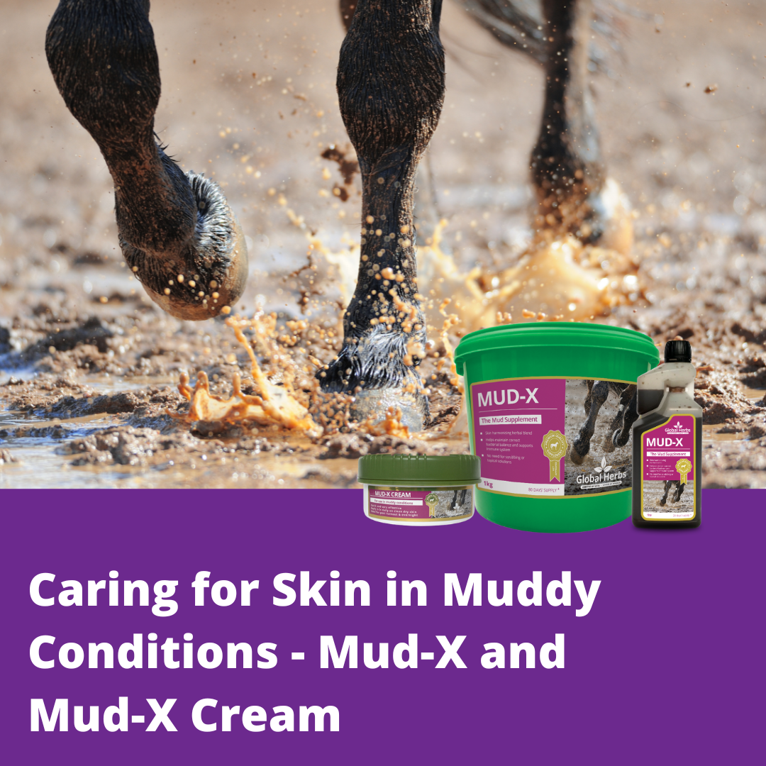 Caring for Skin in Wet & Muddy Conditions