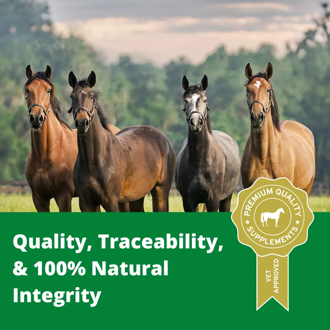 Quality, Traceability, & 100% Natural Integrity