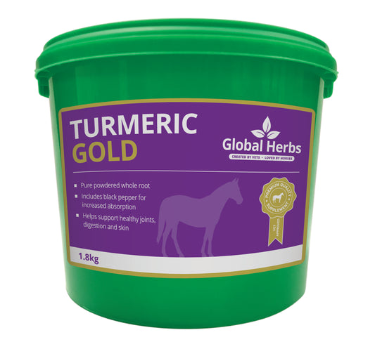 Turmeric Gold - Global Herbs