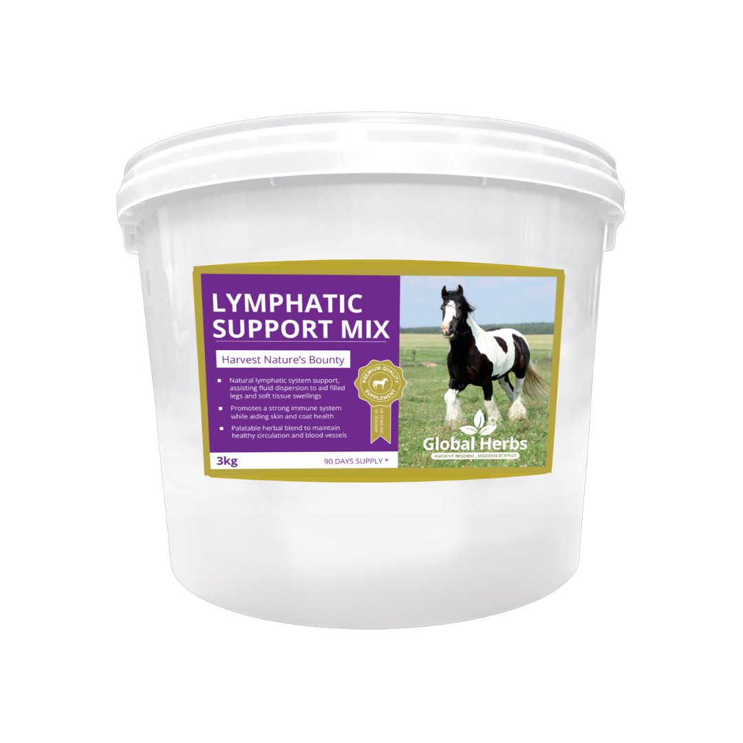 Lymphatic Support Mix - Global Herbs