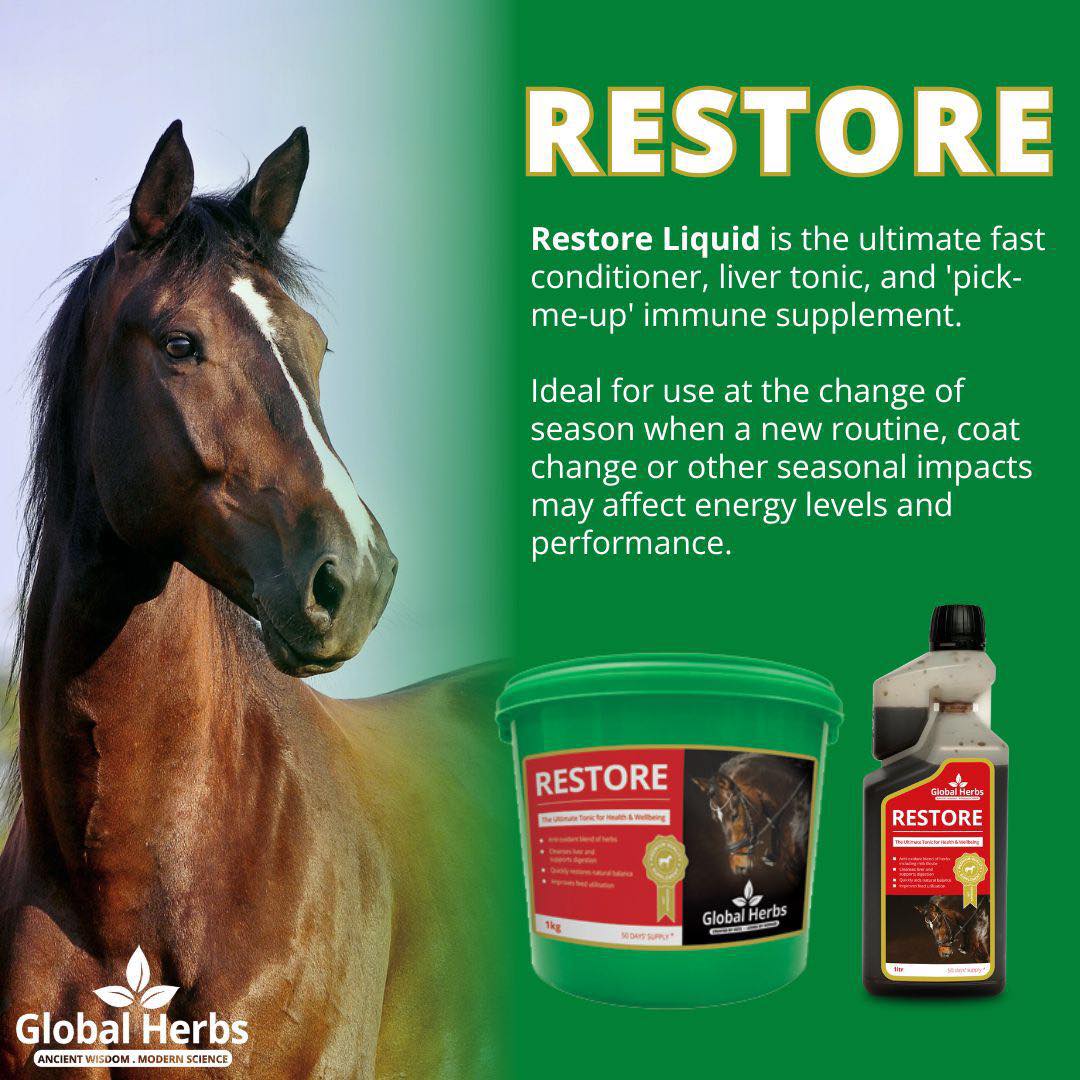 Restore - Global Herbs Global Herbs