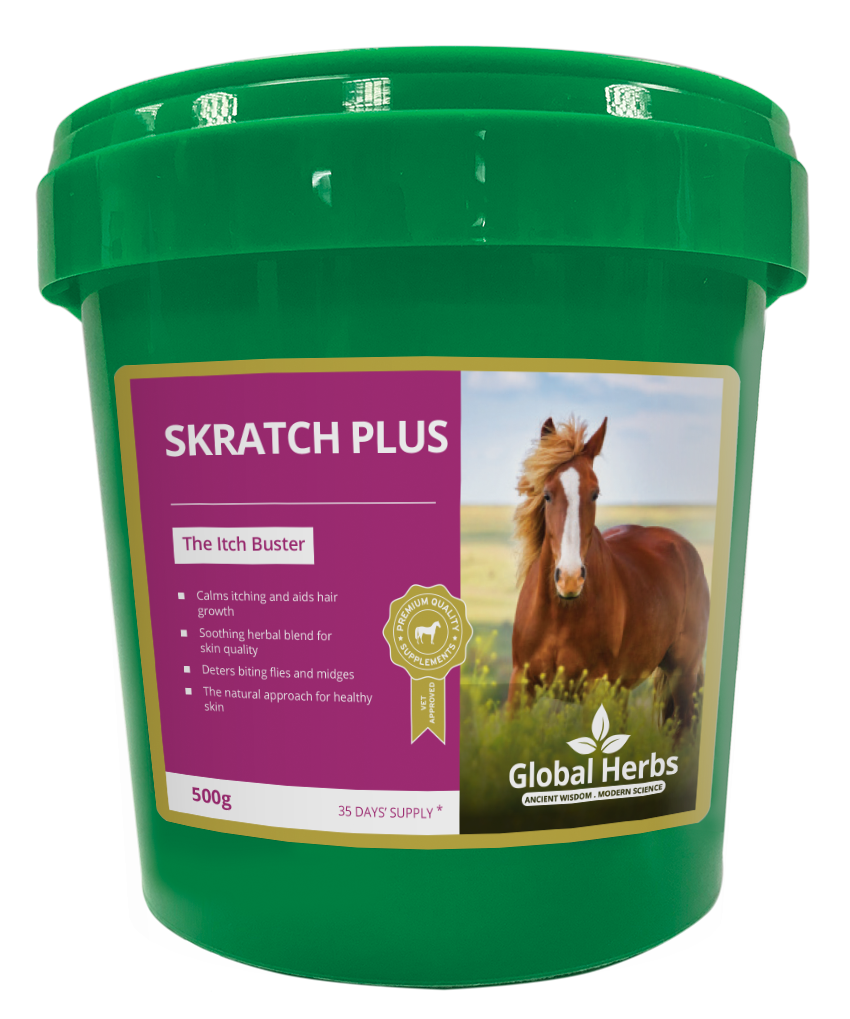 SkratchPlus - Global Herbs