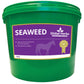 Seaweed - Global Herbs