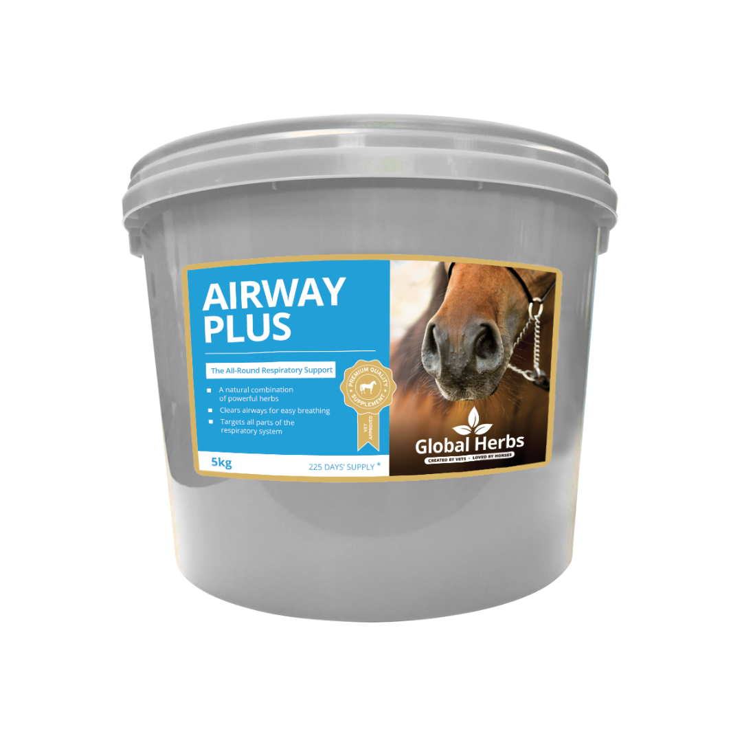 Airway Plus Powder - Global Herbs