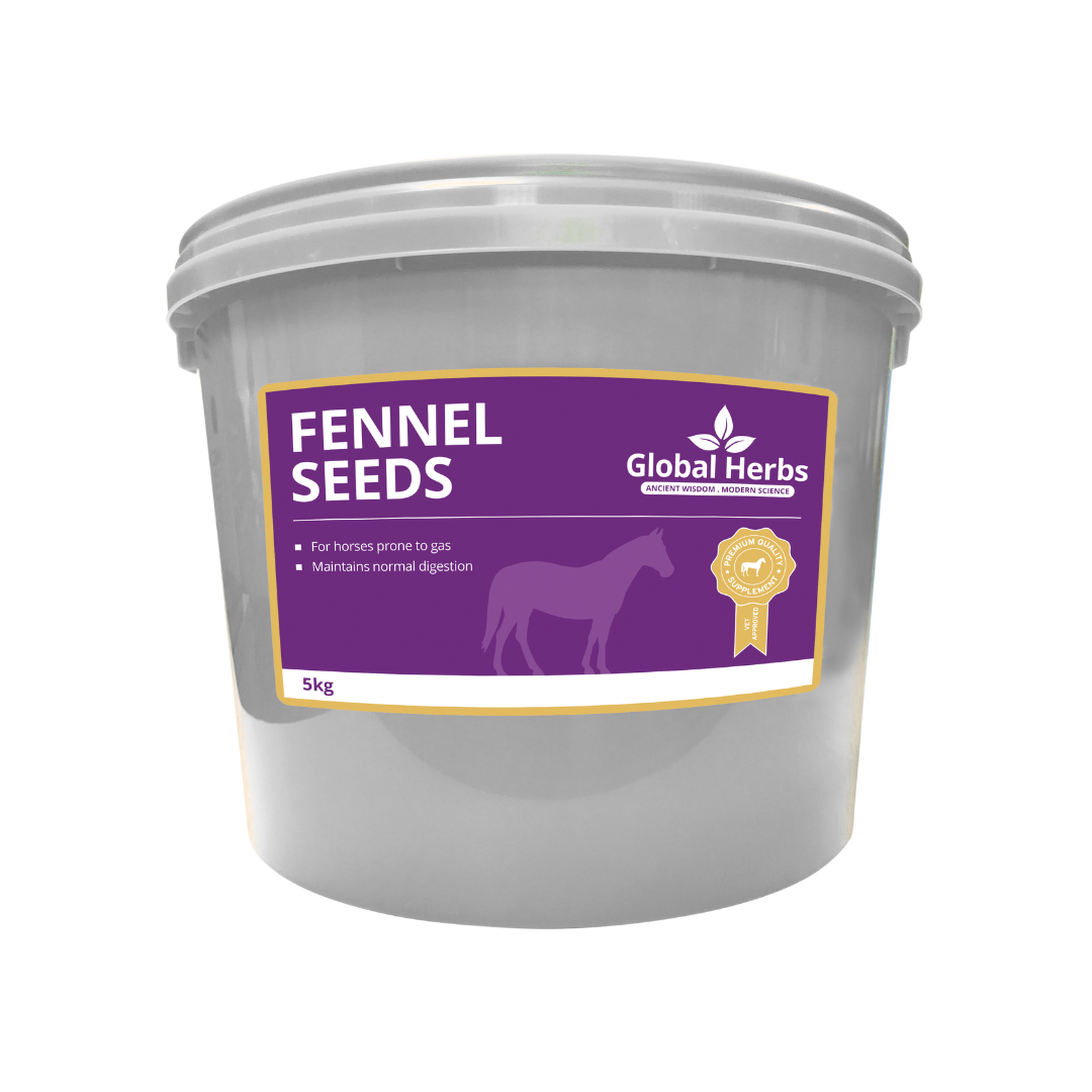 Fenchelsamen - Global Herbs