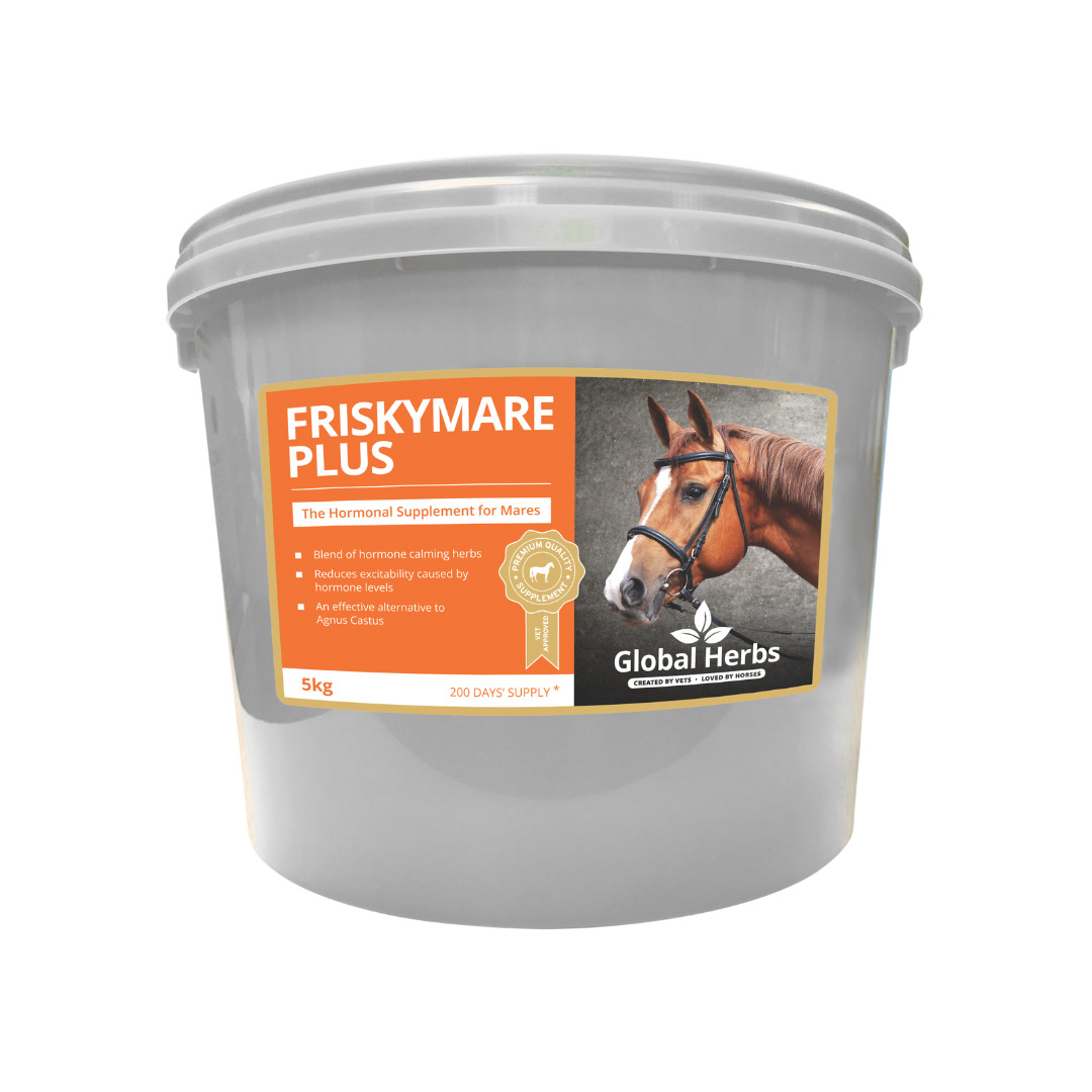 Friskymare Plus - Global Herbs Global Herbs