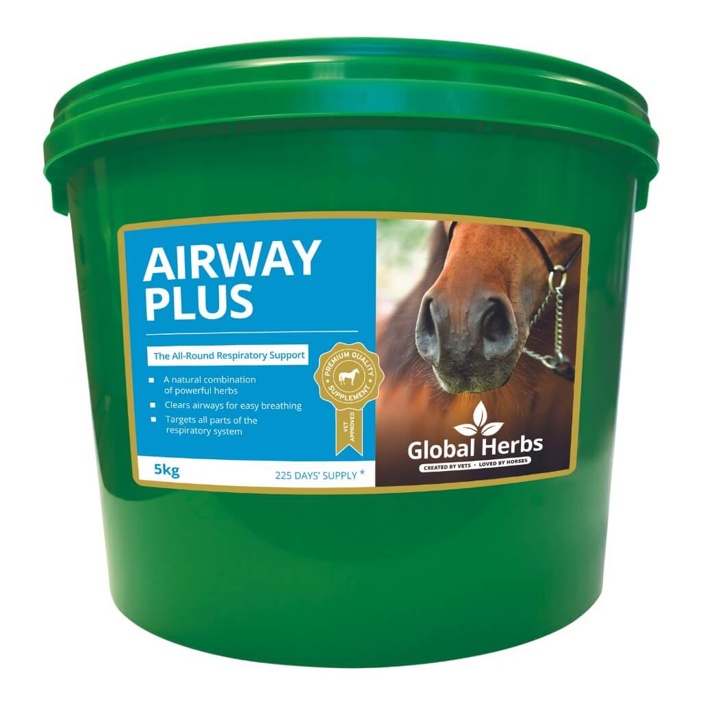 Airway Plus Powder - Global Herbs Global Herbs