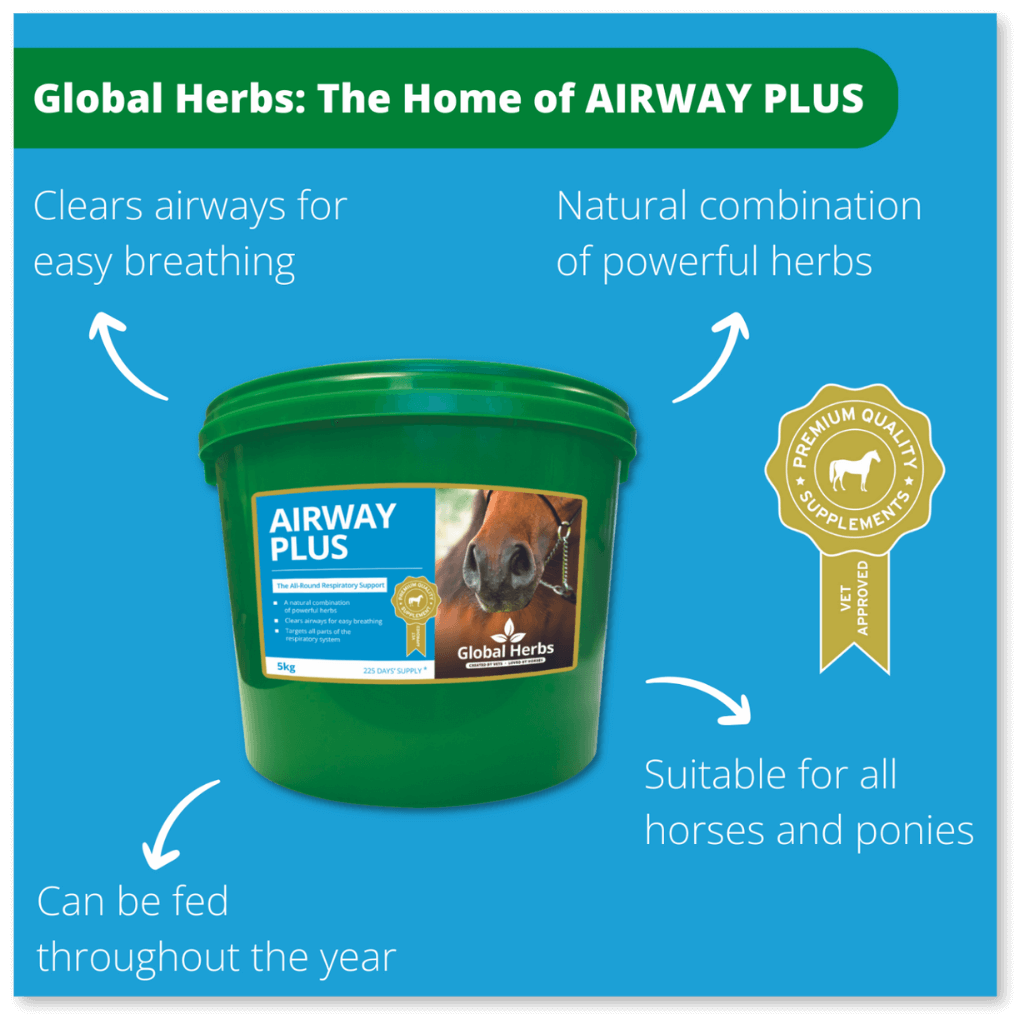 Airway Plus Powder - Global Herbs Global Herbs