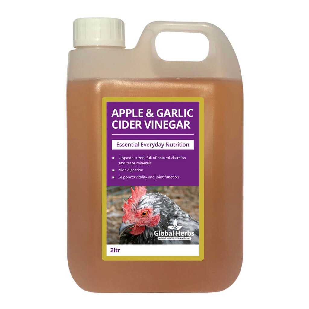Apple Garlic Cider Vinegar - For Chickens Global Herbs
