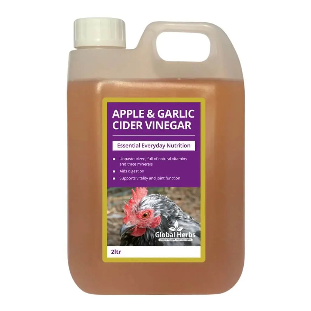 Apple Garlic Cider Vinegar - For Chickens Global Herbs