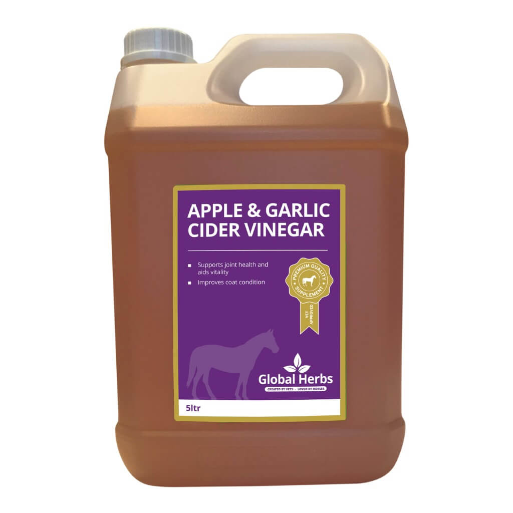 Apple Garlic Cider Vinegar - Equine Global Herbs