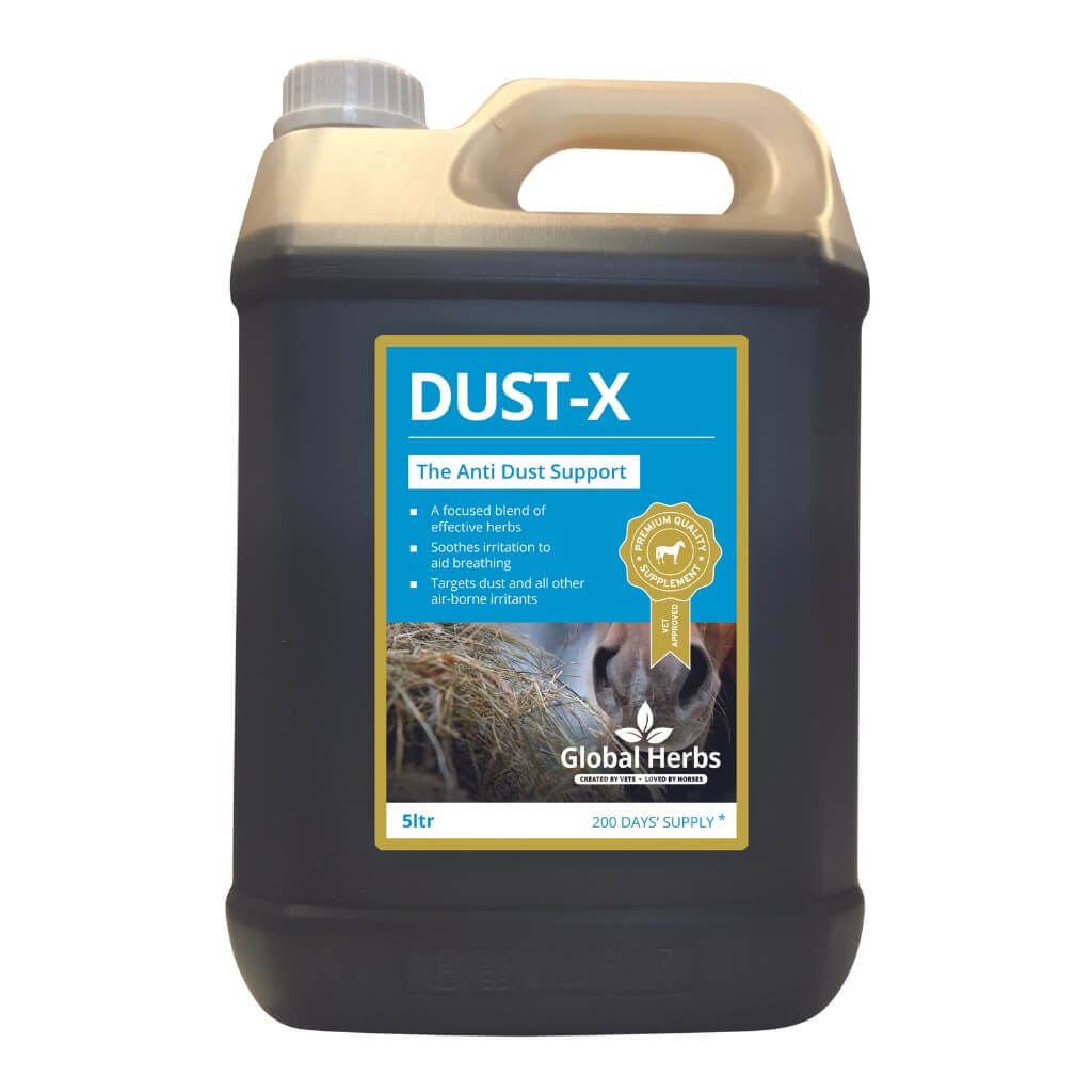 Dust-X - Equine Global Herbs