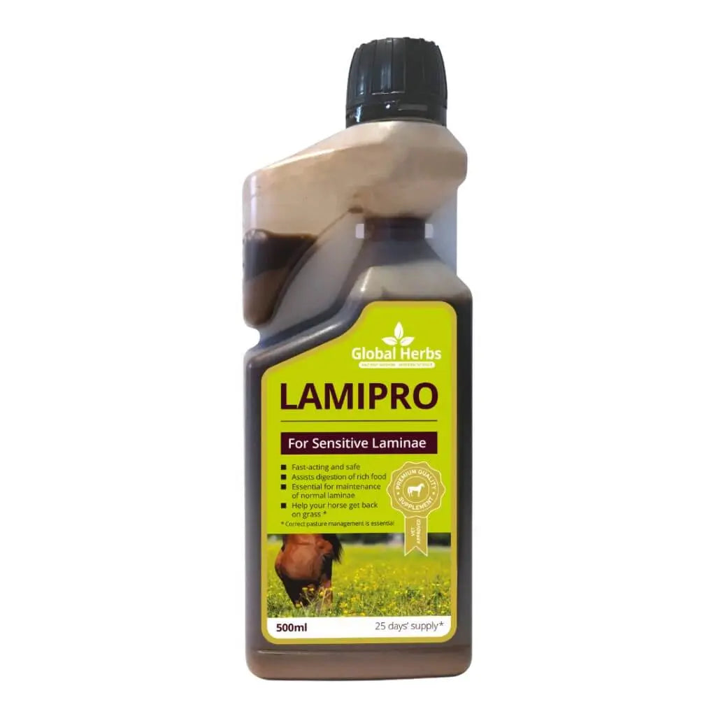LamiPro liquid - Equine Global Herbs