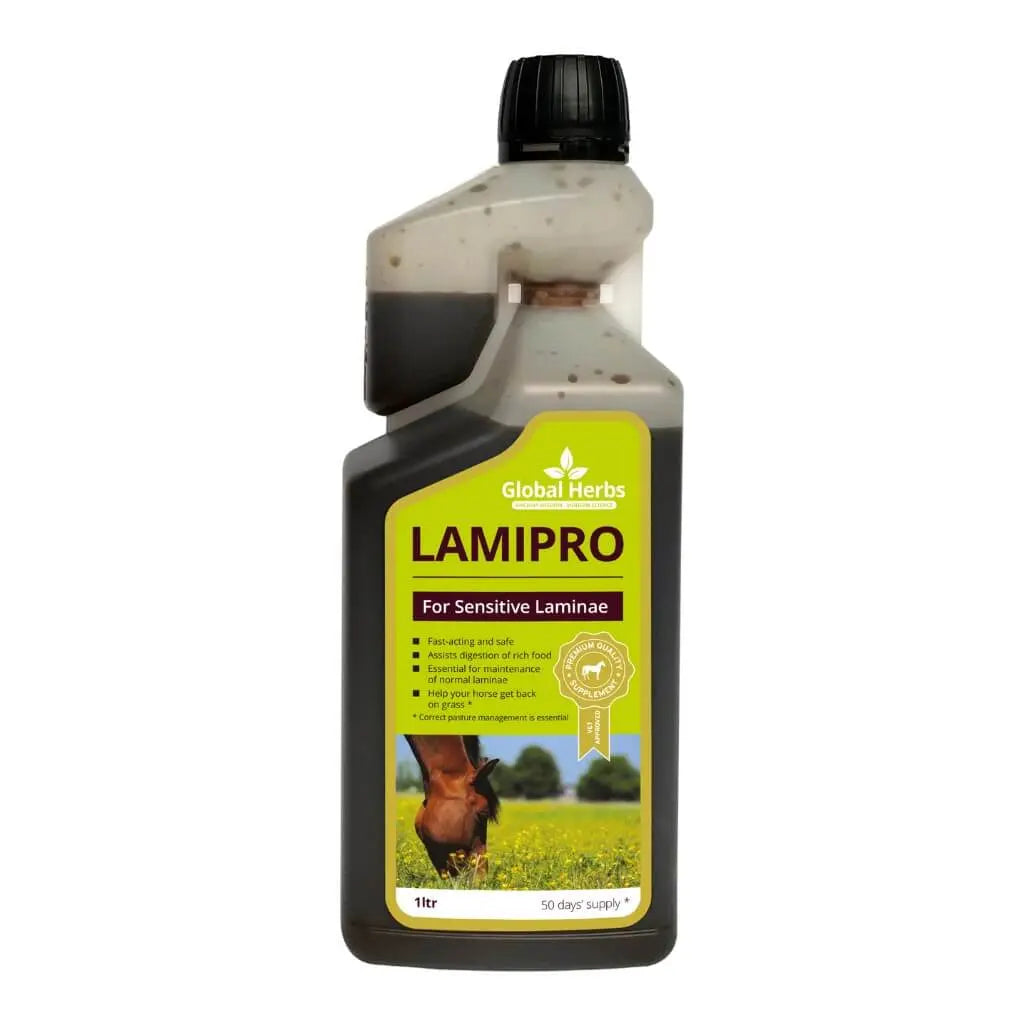 LamiPro liquid - Equine Global Herbs