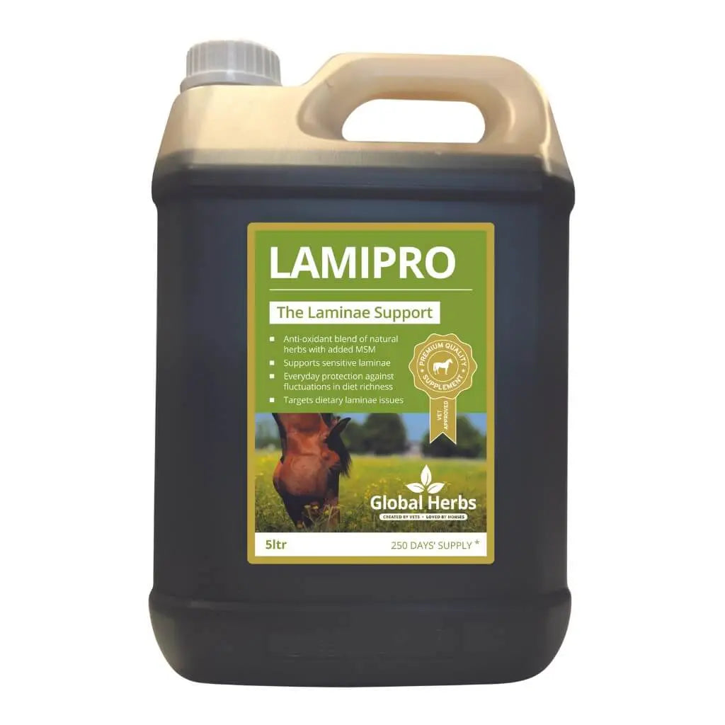 LamiPro liquid - Equine Global Herbs