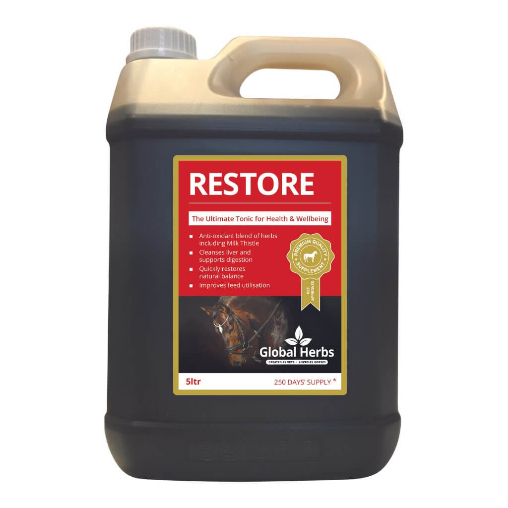 Restore liquid - Equine Global Herbs
