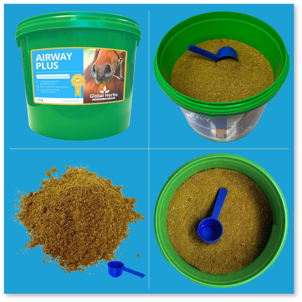 Airway Plus Powder - Global Herbs Global Herbs