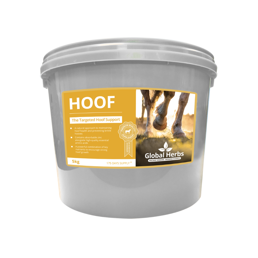 Sabot – Herbes mondiales