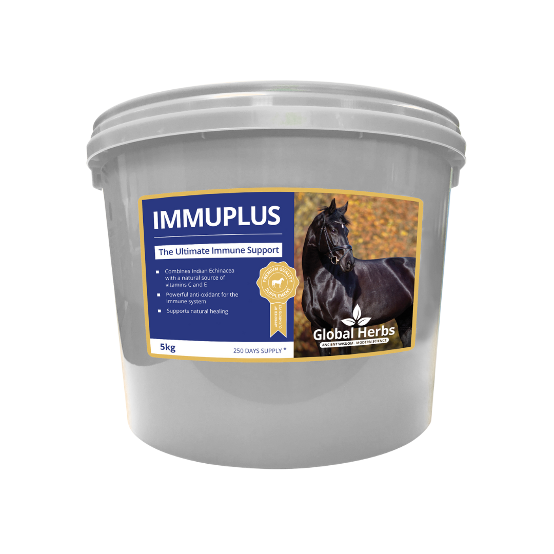 Immuplus - Global Herbs Global Herbs