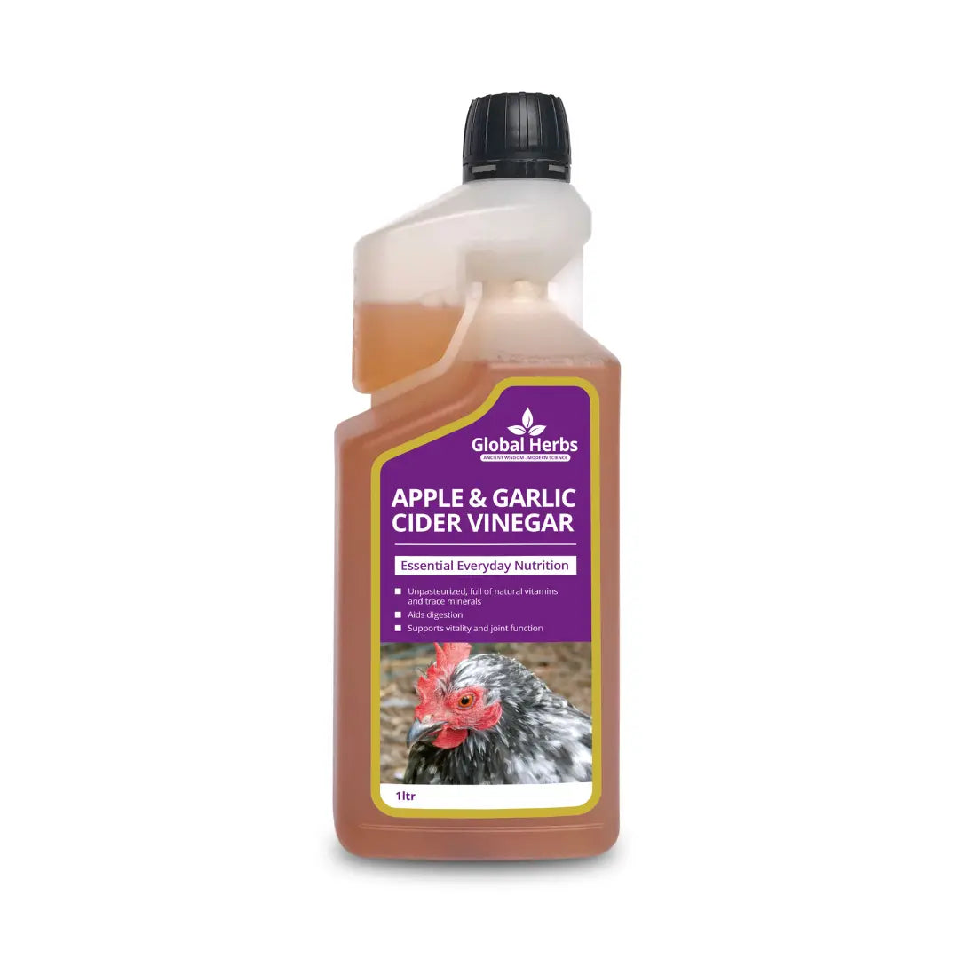 Apple Garlic Cider Vinegar - For Chickens Global Herbs