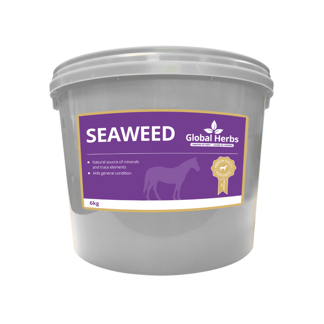 Seaweed - Global Herbs Global Herbs