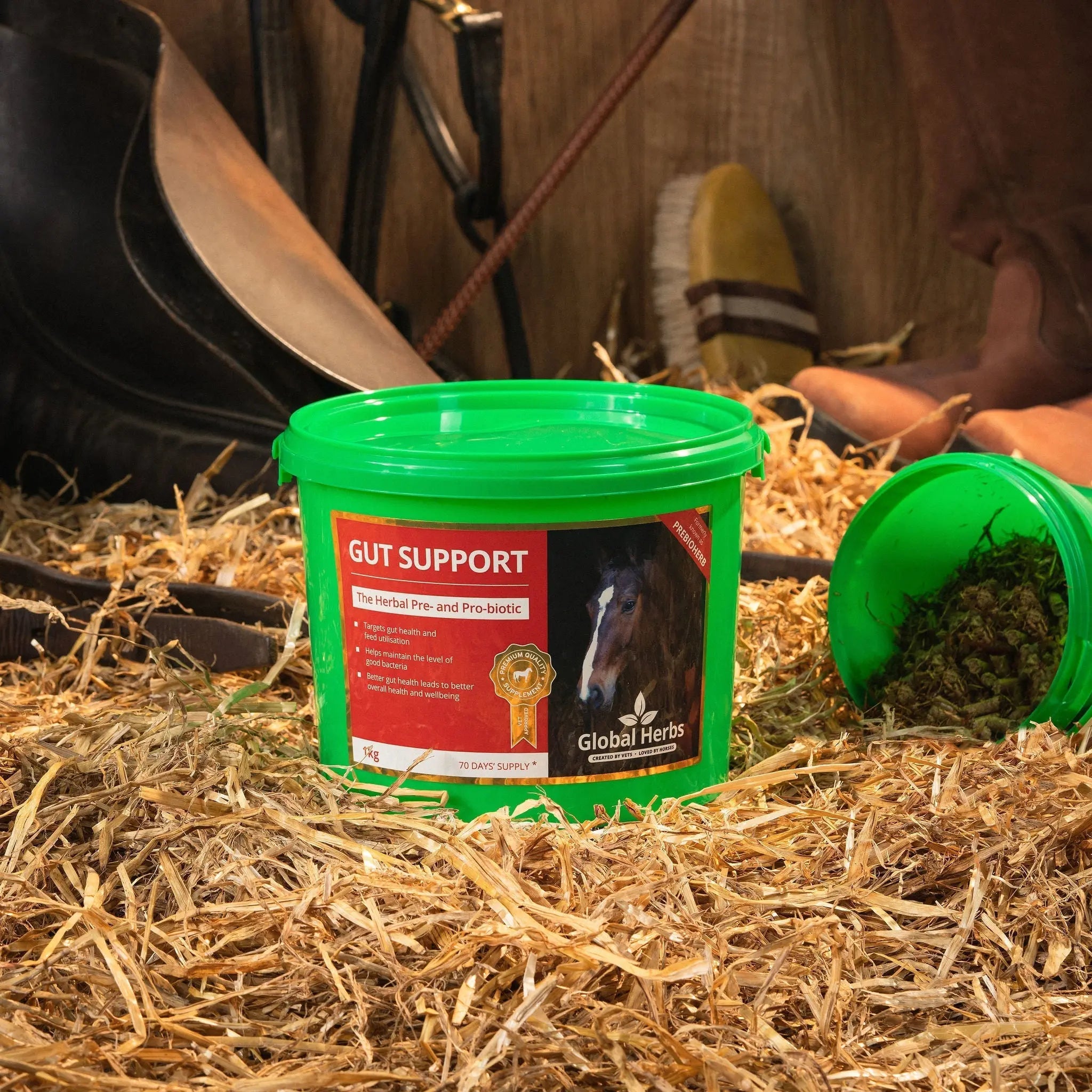 Gut support - Global Herbs Global Herbs