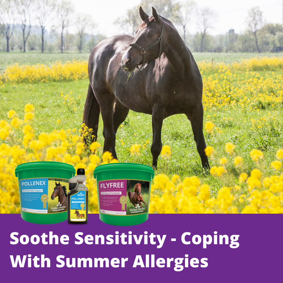 Soothe Sensitivity - Coping With Summer Allergies