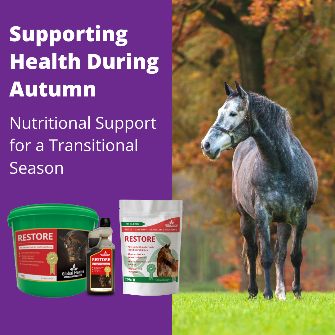 Supporting Health During Autumn