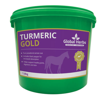 Turmeric - Global Herbs Global Herbs