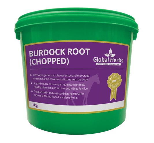 Burdock Root 1Kg - Global Herbs