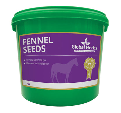 Fenchelsamen - Global Herbs