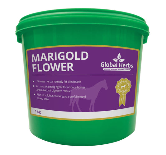 Marigold Flower - Global Herbs