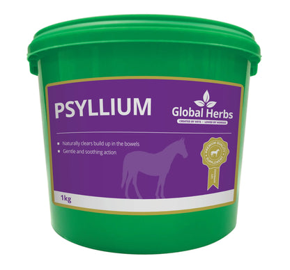 Psyllium 1kg - Global Herbs Global Herbs