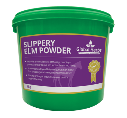 Slippery Elm Powder - Global Herbs Global Herbs