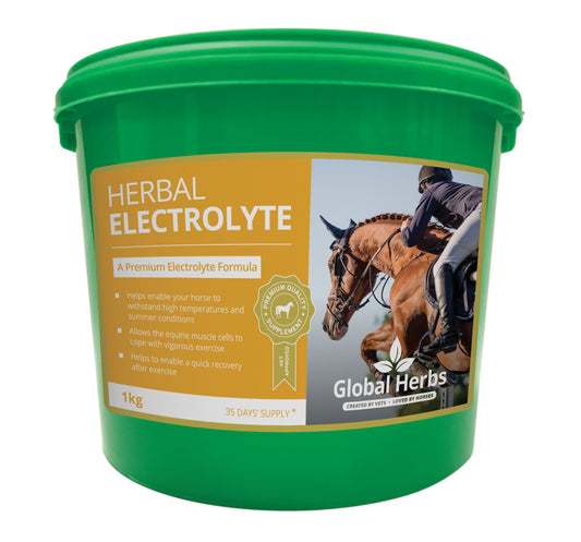 Herbal Electrolyte 1kg - Global Herbs