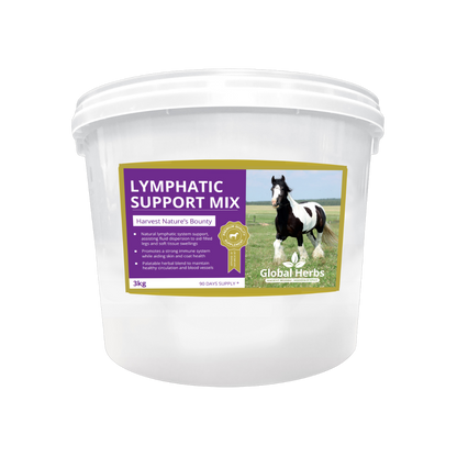 Lymphatic Support Mix - Global Herbs