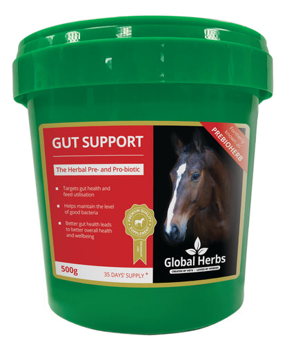 Gut support - Global Herbs