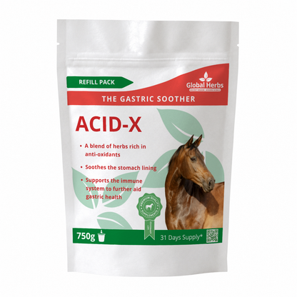 Acid-X Refill Pouch 750g - Global Herbs Global Herbs