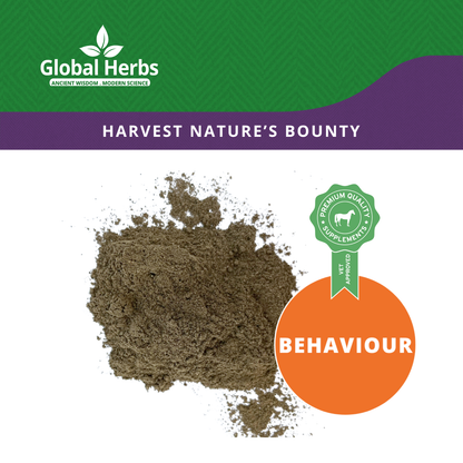 Agnus Castus Powder - Global Herbs Global Herbs