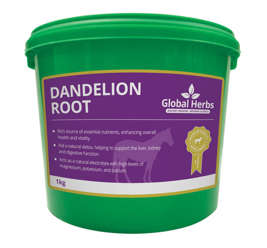 Dandelion Root 1KG - Global Herbs