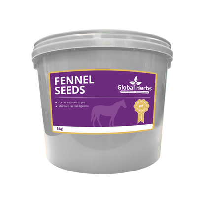 Fenchelsamen - Global Herbs