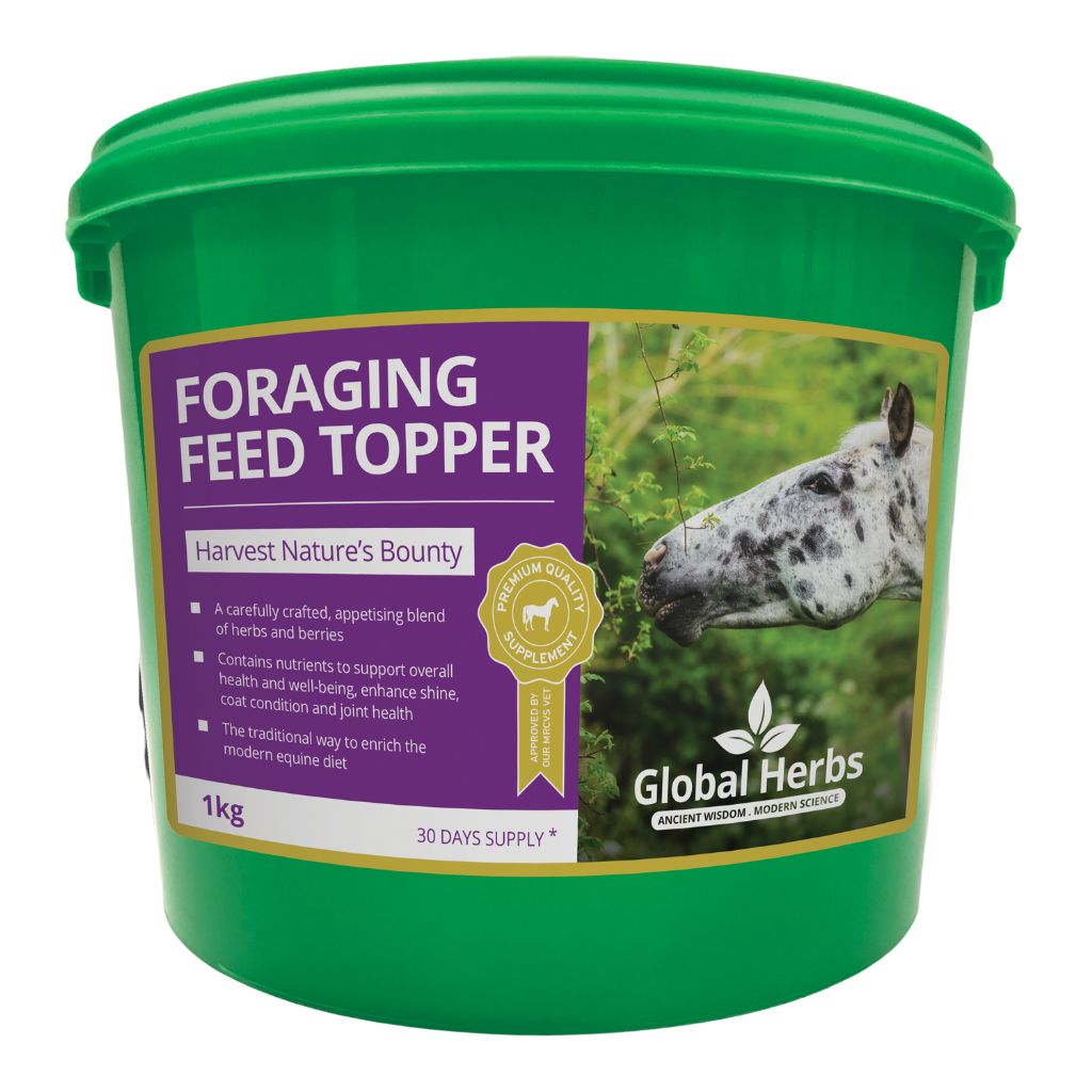Foraging Feed Topper - Global Herbs Global Herbs