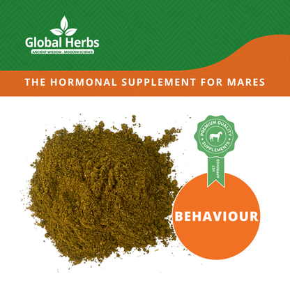 Friskymare Plus - Global Herbs Global Herbs