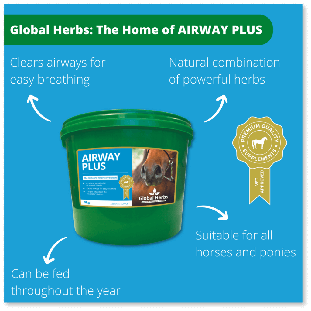 Airway Plus Powder - Global Herbs