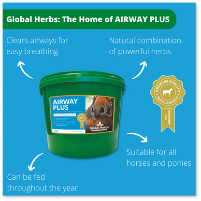Airway Plus Powder - Global Herbs Global Herbs
