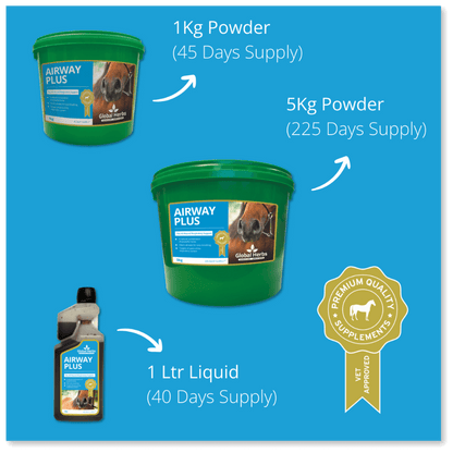 Airway Plus Powder - Global Herbs Global Herbs