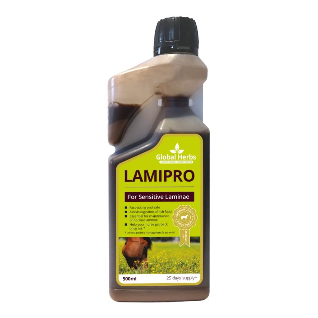 LamiPro flüssig - Pferde