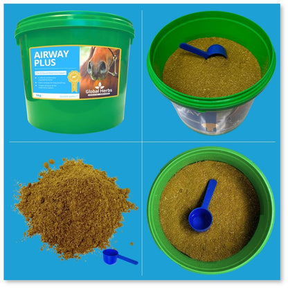 Airway Plus Powder - Global Herbs Global Herbs