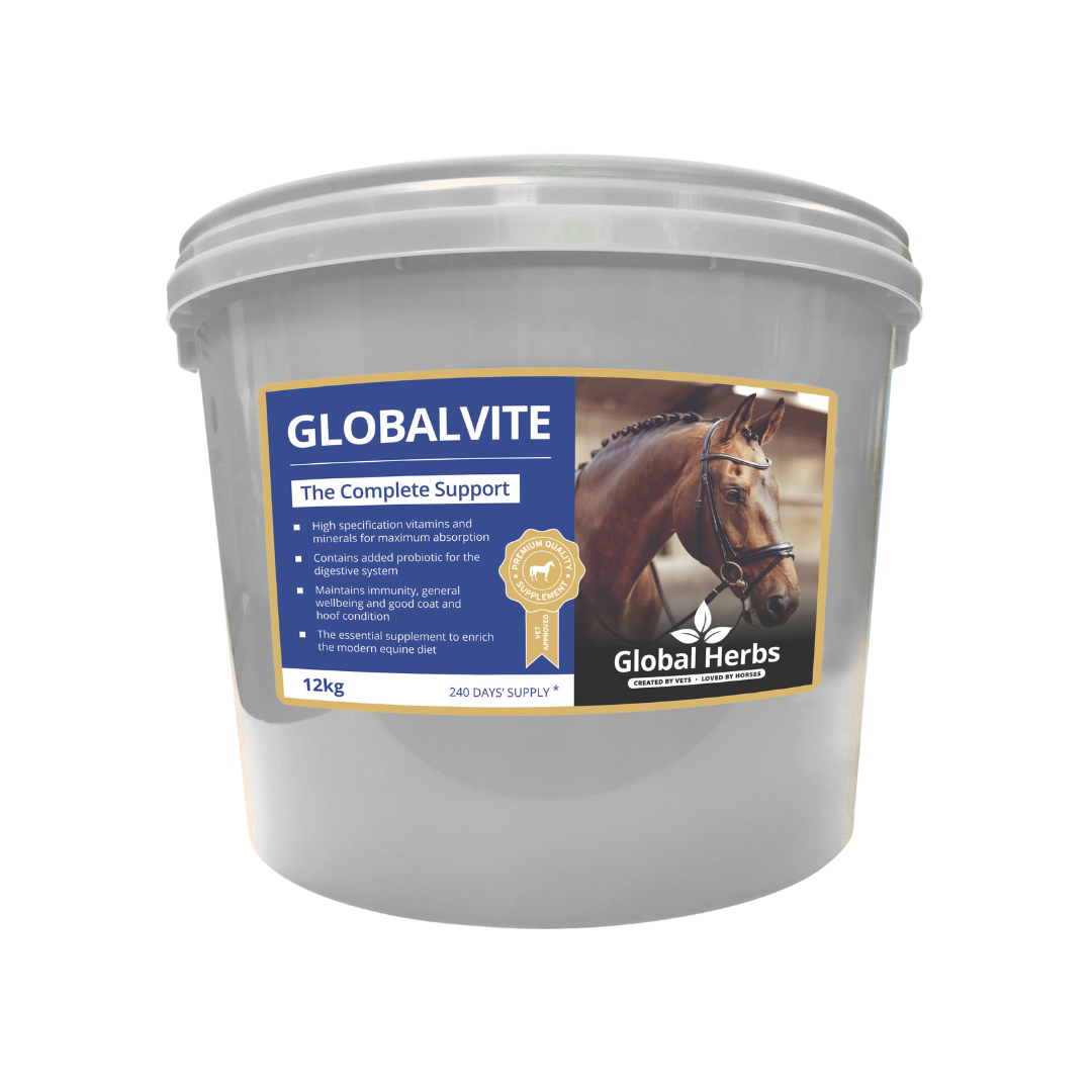 GlobalVite - Globale Kräuter